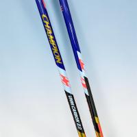 Лыжные палки PILOT UHM CARBON 2.0 CHEMPION G (25-26)