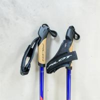 Лыжные палки PILOT UHM CARBON 2.0 CHEMPION G (25-26)