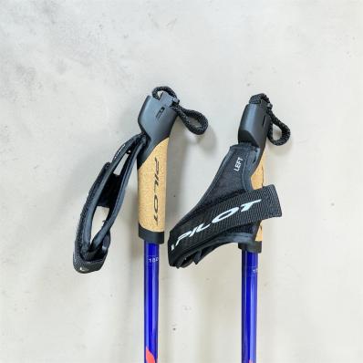 Лыжные палки PILOT UHM CARBON 2.0 CHEMPION G (25-26)