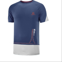Футболка SALOMON CROSS RUN GRAPHIC TEE M DARK DE  LC1808100