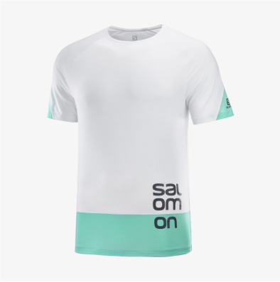 Футболка SALOMON CROSS RUN GRAPHIC TEE M WHITE/P  LC1788300