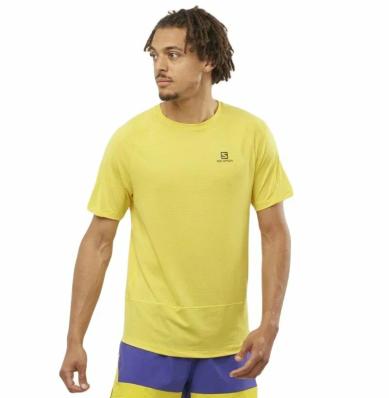 Футболка SALOMON CROSS RUN SS TEE M Empire Yellow LC1721800