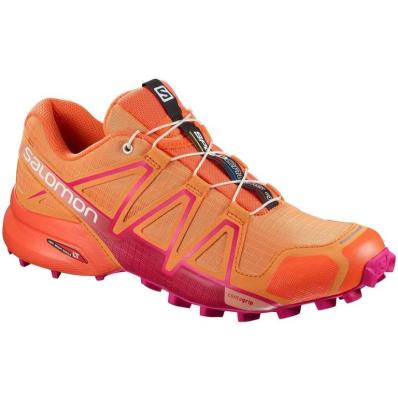 Кроссовки SALOMON SPEED CROSS 4 W  Bir/NAST  400985