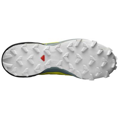 Кроссовки SALOMON SPEED CROSS 5 Sulphir Sp/B  407967