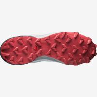 Кроссовки SALOMON SPEED CROSS 5 W Illusion/St  408015