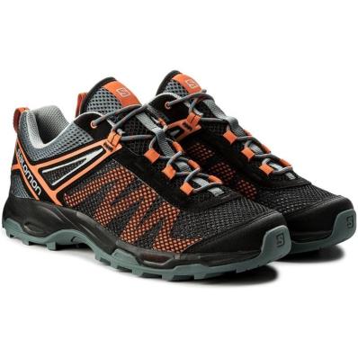 Кроссовки SALOMON X ULTRA  MEHARI Stor/Qua  401593