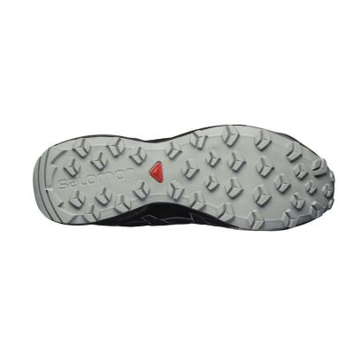 Кроссовки SALOMON SPEED CROSS VARIO2 GTX  398468