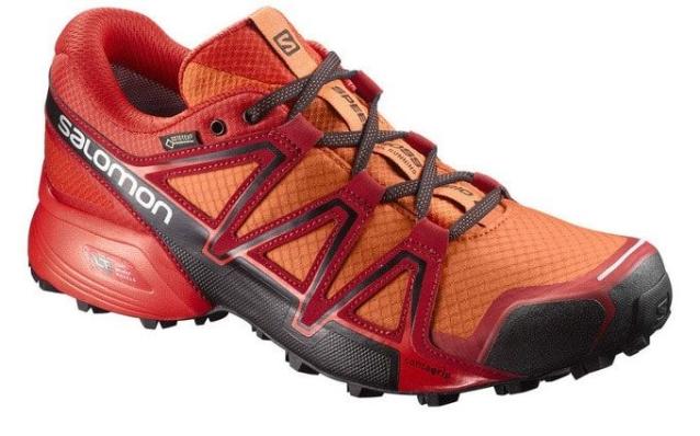 Кроссовки SALOMON SPEED CROSS VARIO2 GTX  398470