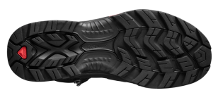 Ботинки SALOMON QUEST WINTER GTX Black/Ebony/Bk  411103