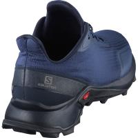 Кроссовки SALOMON ALPHACROSS Sargasso S/Navy  407982