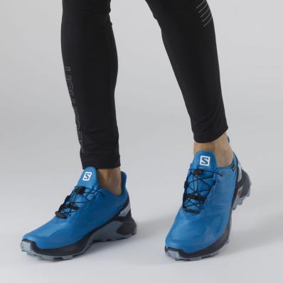Кроссовки SALOMON SUPERCROSS BLAST GTX Indigo Bu  411094
