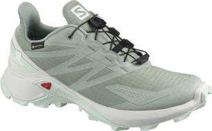Кроссовки SALOMON SUPERCROSS BLAST GTX W Green M  411112