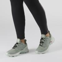 Кроссовки SALOMON SUPERCROSS BLAST GTX W Green M  411112