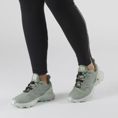 Кроссовки SALOMON SUPERCROSS BLAST GTX W Green M  411112