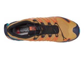 Кроссовки SALOMON XA PRO 3D v8 Bistre/Navy Blaz  409873