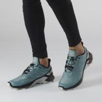 Кроссовки SALOMON SUPERCROSS BLAST SMOKE/Bk/Lun  410238