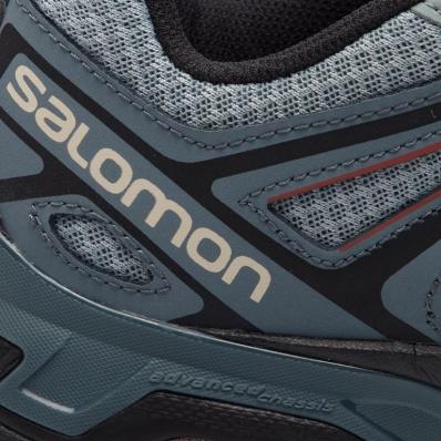 Кроссовки SALOMON X ULTRA 3 PRIME Le/Stormy  407413