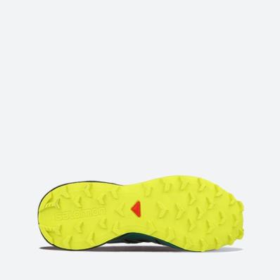 Кроссовки SALOMON  SPEED CROSS 4  Bk/Everglade/Sul  392398