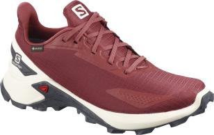 Кроссовки SALOMON ALPHACROSS BLAST GTX W Apple B  411065