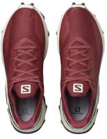 Кроссовки SALOMON ALPHACROSS BLAST GTX W Apple B  411065
