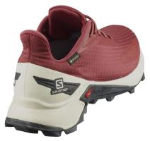 Кроссовки SALOMON ALPHACROSS BLAST GTX W Apple B  411065