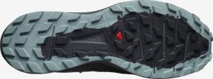 Кроссовки SALOMON SENSE RIDE 3 Black/Ebony/Lea  409563