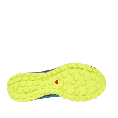 Кроссовки SALOMON TRAILSTER 2 GTX Lyons Blue/Nav  L409637