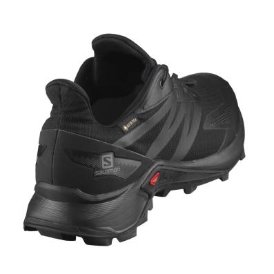 Кроссовки SALOMON SUPERCROSS BLAST GTX Black/Bla  411085