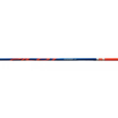 Лыжные палки PILOT HM carbon RACER