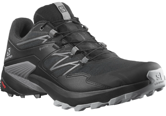 Кроссовки SALOMON WINGS SKY GTX Ebony/Black/Lemo  412797