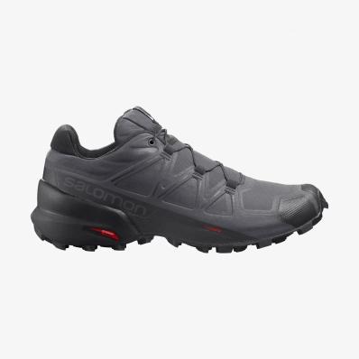 Кроссовки SALOMON SPEEDCROSS 5 Magnet/Black/Phan  410429