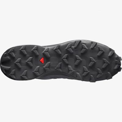 Кроссовки SALOMON SPEEDCROSS 5 Magnet/Black/Phan  410429