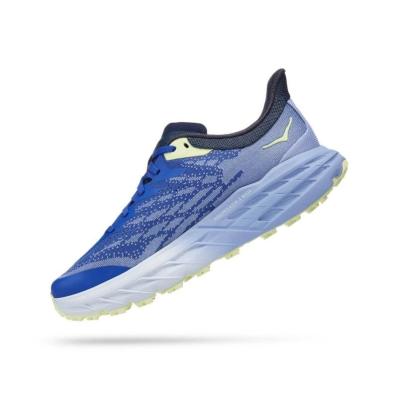 Кроссовки женские HOKA W SPEEDGOAT 5 1123158PIBN Purple Impression/Bluing