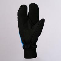 Лобстеры  NordSki  JR Arctic  Blue/Black  WS  NSJ133170