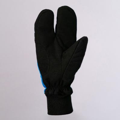 Лобстеры  NordSki  JR Arctic  Blue/Black  WS  NSJ133170