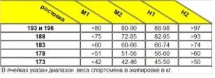 Гоночные лыжи для конькового хода BRADOS FLASH 2.0 Skate 2024 BR-2.0-FLASH-S