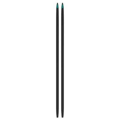 Беговые лыжи Kastle RX10 2.0 Skate Cold HARD NRX102SCH